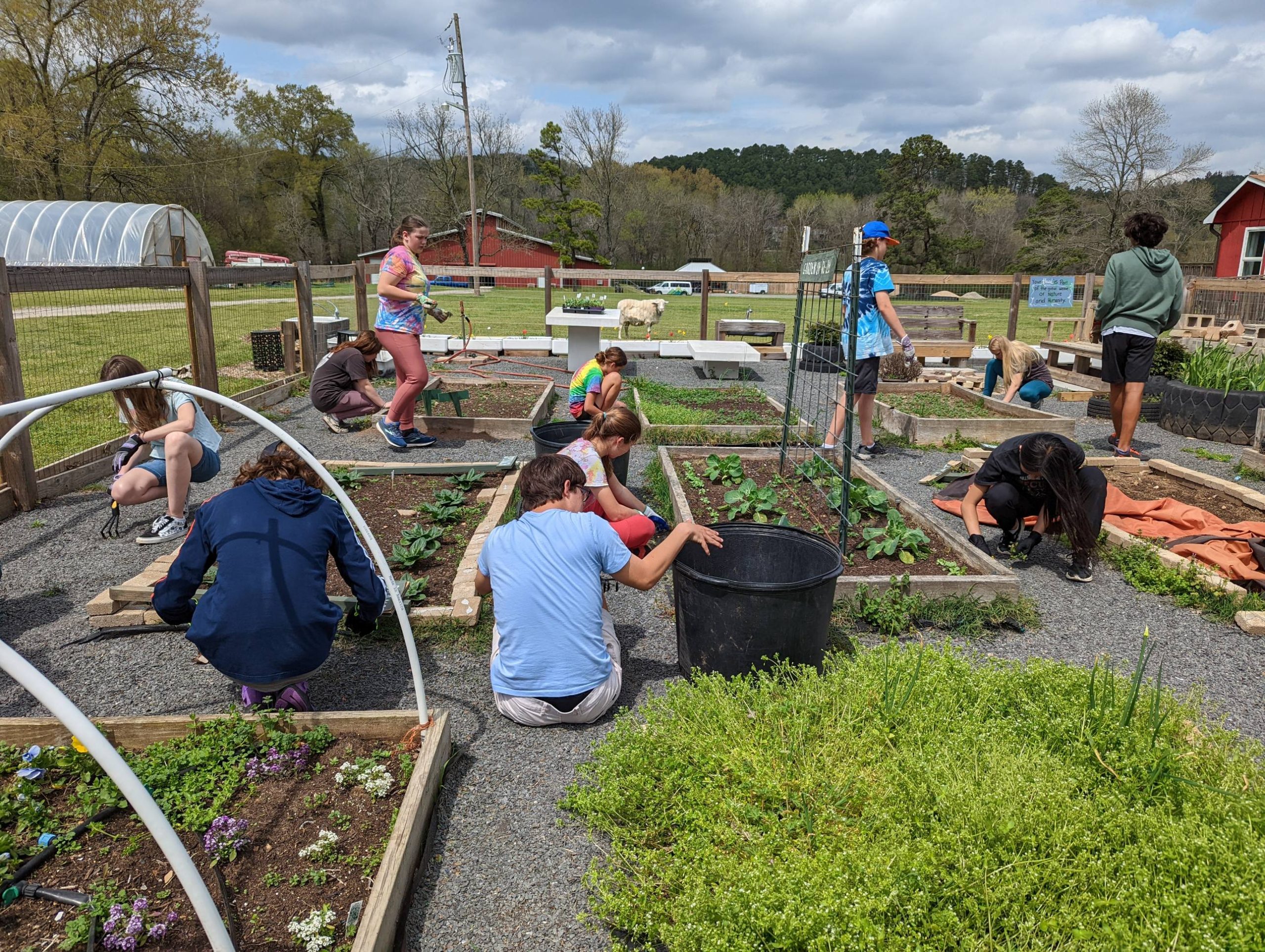 Group of middle school students working in Montessori Pensacola's garden
